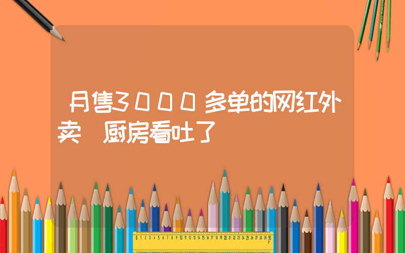 月售3000多单的网红外卖 厨房看吐了插图